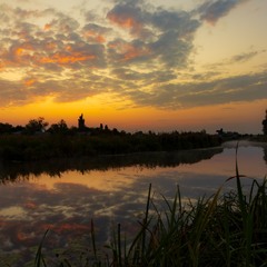 Світанки Полісся