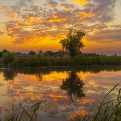 Світанки Полісся