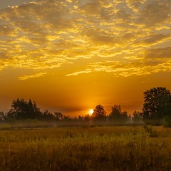 Світанки Полісся