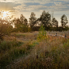 Вечірнє Полісся (нова редакція)