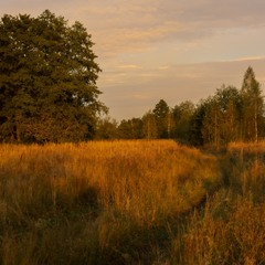 Вечірнє Полісся