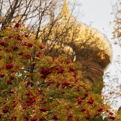 осінь