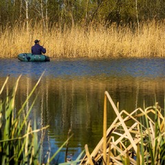 За весіннім хижаком