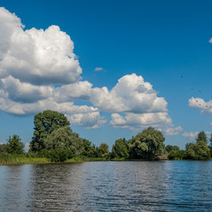 Крилаті сторінки літа