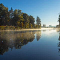 Тиша, що випаровується