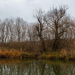 Депресія пізньої осені