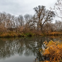 Пізня осінь впала в депресію