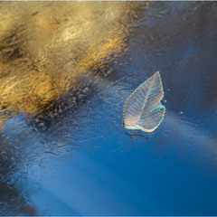 Крижані спогади