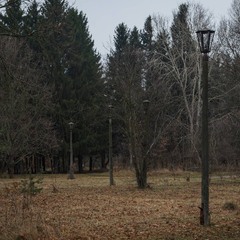 Паркові прогулянки: Без адреси