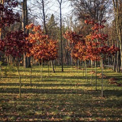 Світло без події