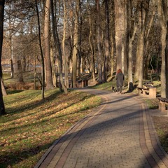 Паркові прогулянки