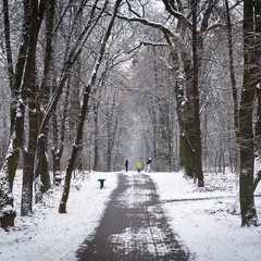 Паркові прогулянки