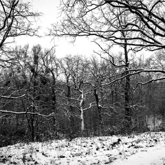 Між дужками