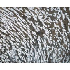 Добірка: Зимові замальовки