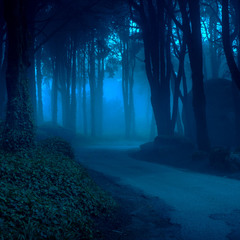 Містичний ліс 2