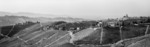 Rolling Vineyards of Piedmont near Serralunga d’Alba