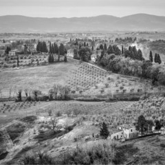 The Hills of San Gimignano, Where Time Rests in the Embrace of the Earth