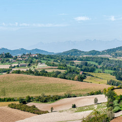 Beneath the Alpine Horizon