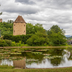 "Там лілії цвітуть"  Weinheim