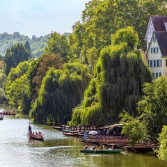Літо на Неккарі м. Тюбінген