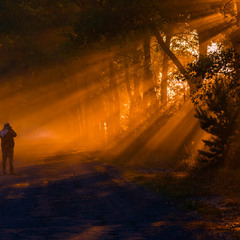 Золотий час