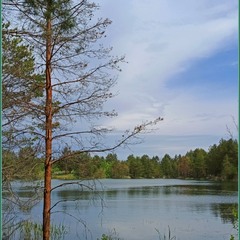 Лісове озеро