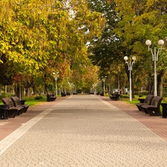 Осінь у великому місті