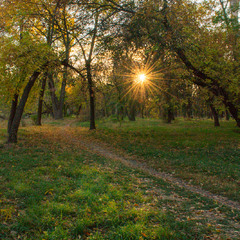 Осіннє сонце