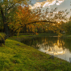 Старий парк
