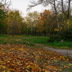 Останні теплі дні