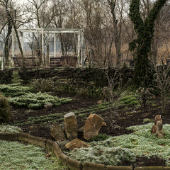 Ранкова паморозь