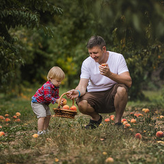 персиковий сад