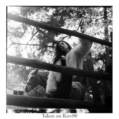 Знято на Київ80