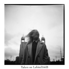 Портрет на Любітель166В