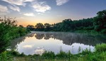 Літній ранок на озері.