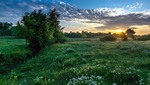 Літнім ранком.