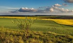 Весняні замальовкі