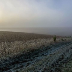 Осінній туман!