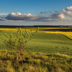 Весняні замальовкі