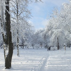 Дніпро взимку (2)