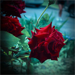 Ох…уж...! Ці ніжки!