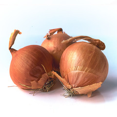 Знову понеділок!! Хмарно. Сонця Нема.