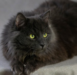 Містичний персонаж..