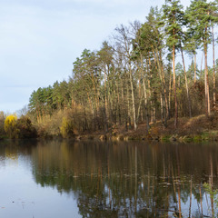 З серії осінні начерки, Листопад