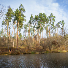Осінні начерки, Листопад