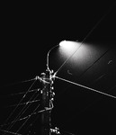 Нейрон міста