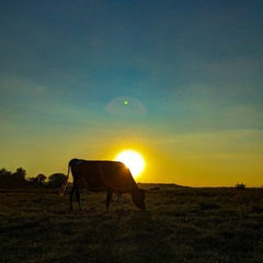 Вечеря просто неба...