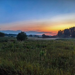 На долину туман упав...