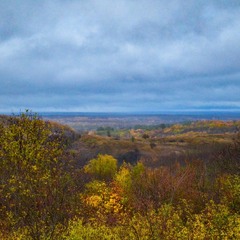 Осінь кличе в синю далечінь...