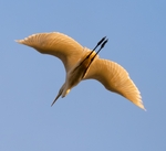 Дотик сонця ...